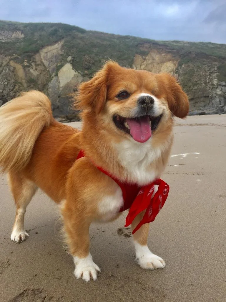 C7D9C3ED-DD43-4DF8-901C-0F22EAE3C5C0