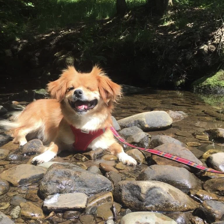 3ACB3976-3EFE-49AC-A49A-5684BDE3F2F4