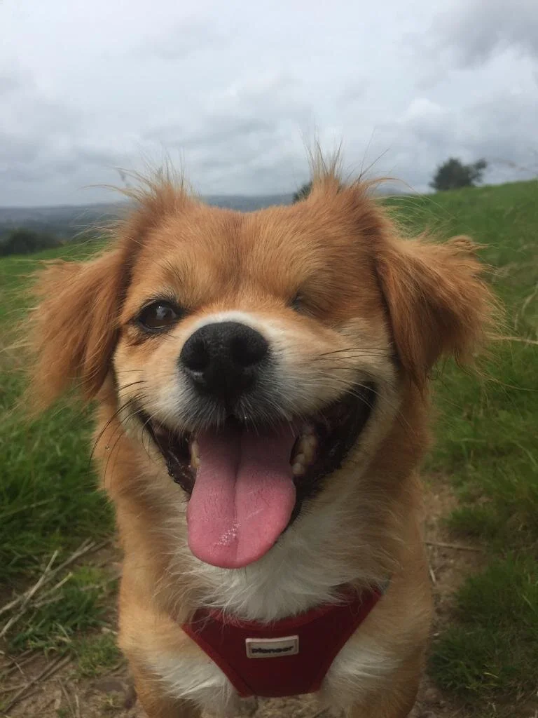 13CD16DC-2FD2-4D25-8253-3B841411E8A1