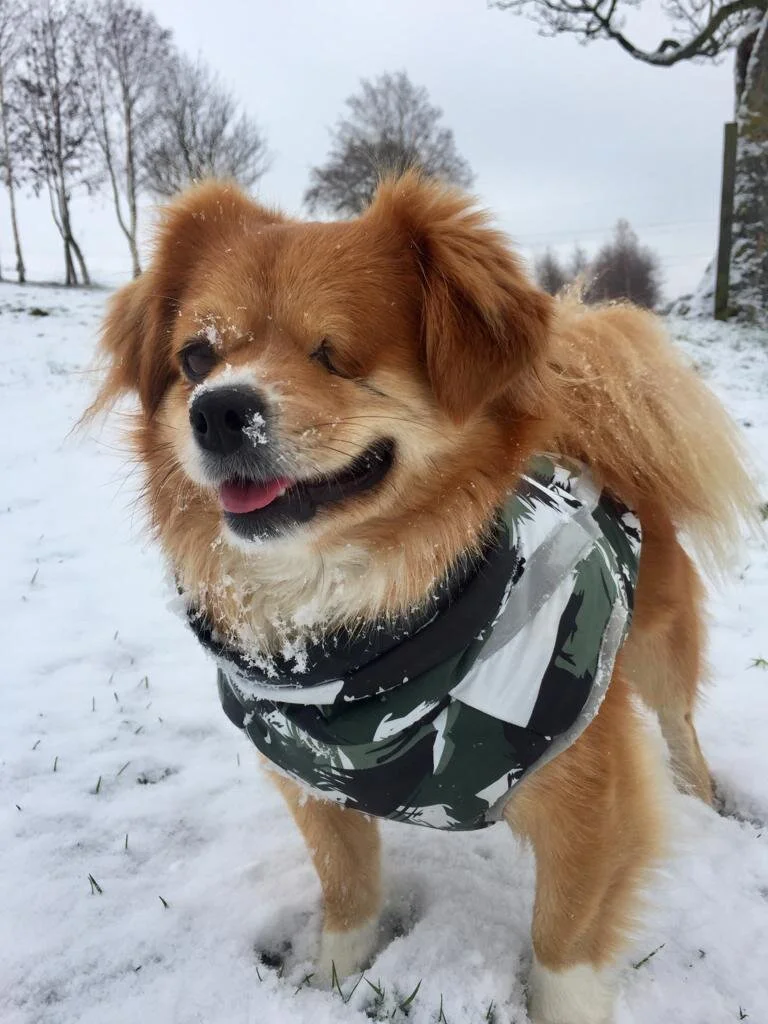 03A3391A-7405-41CA-AB5A-F033D75073C4