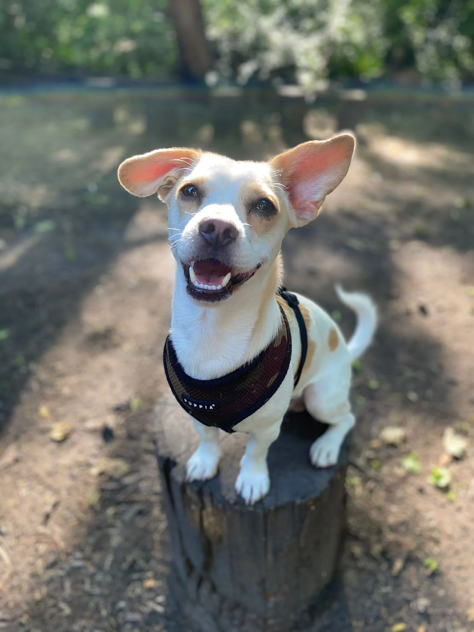 0B914588-D0C7-4D53-92EA-7BADDAF89608