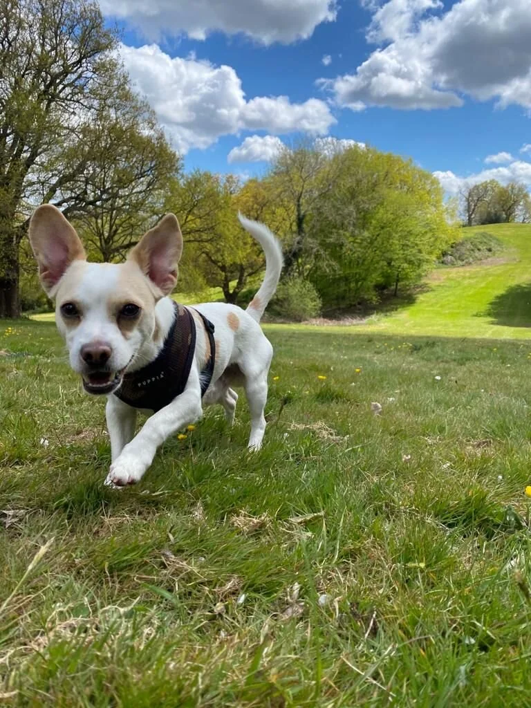 1A99D3E9-5937-4A11-95BC-DC3508F1D1C8