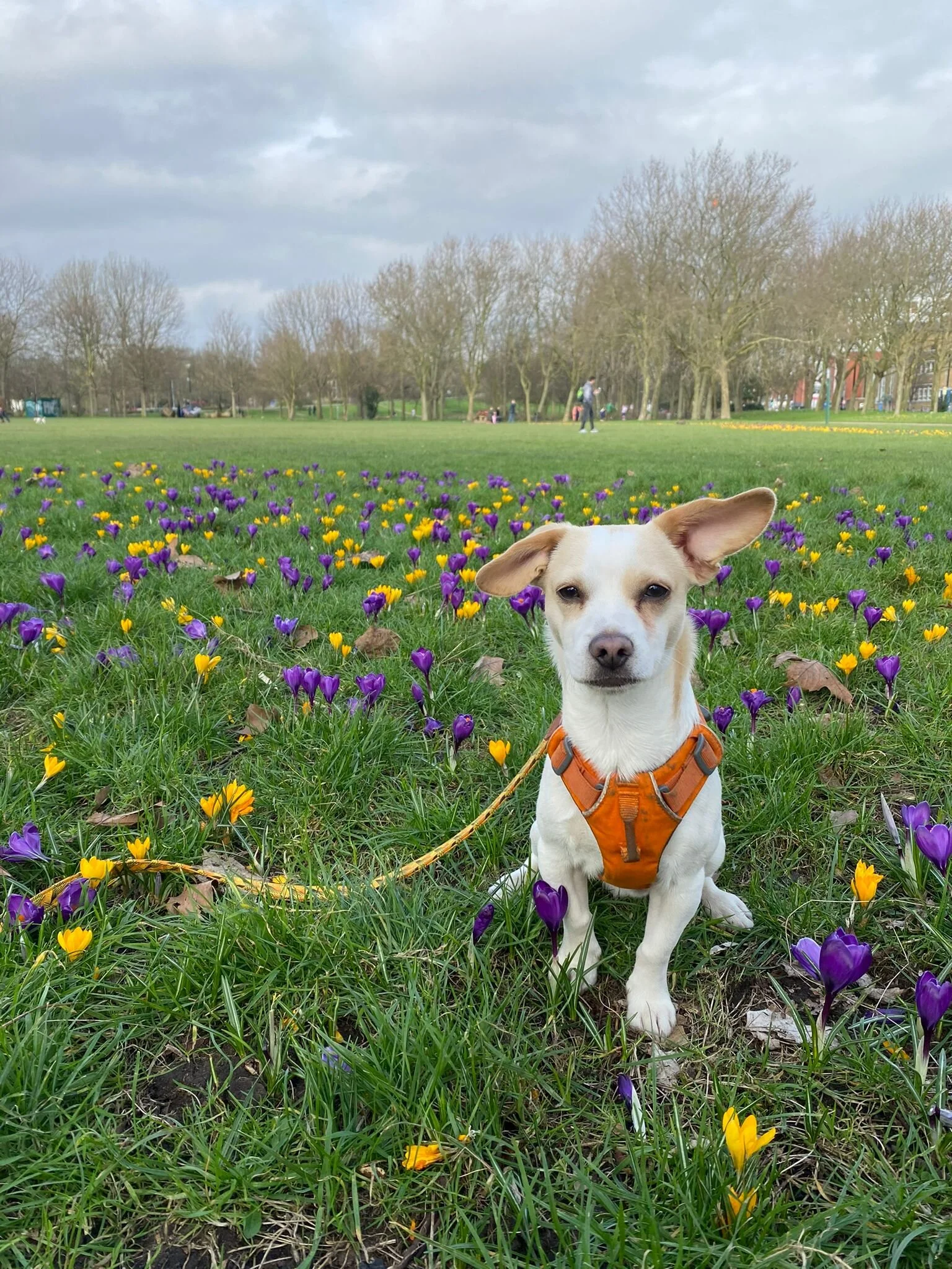 B87445A4-2218-496B-9ECF-B7744357C9E2