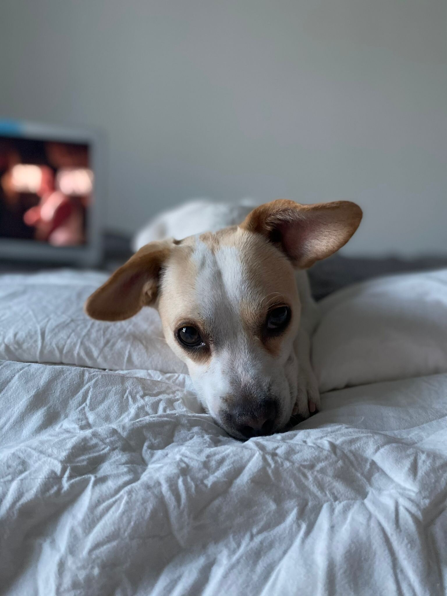 77CB9C1C-3AAD-41C6-8441-428326FBE3DF