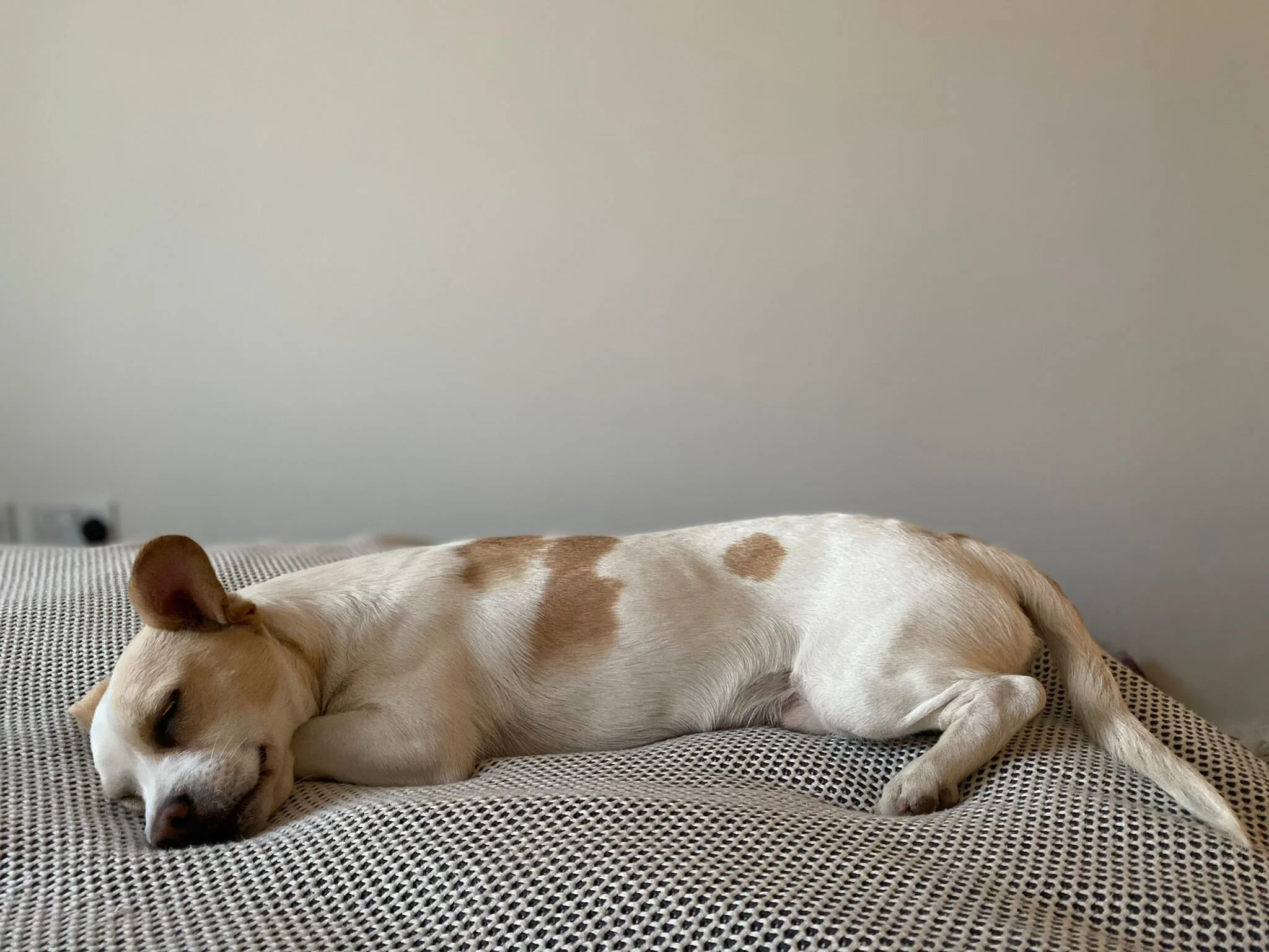 FB419C50-B9DC-4D45-BF92-76CC86E97F8E