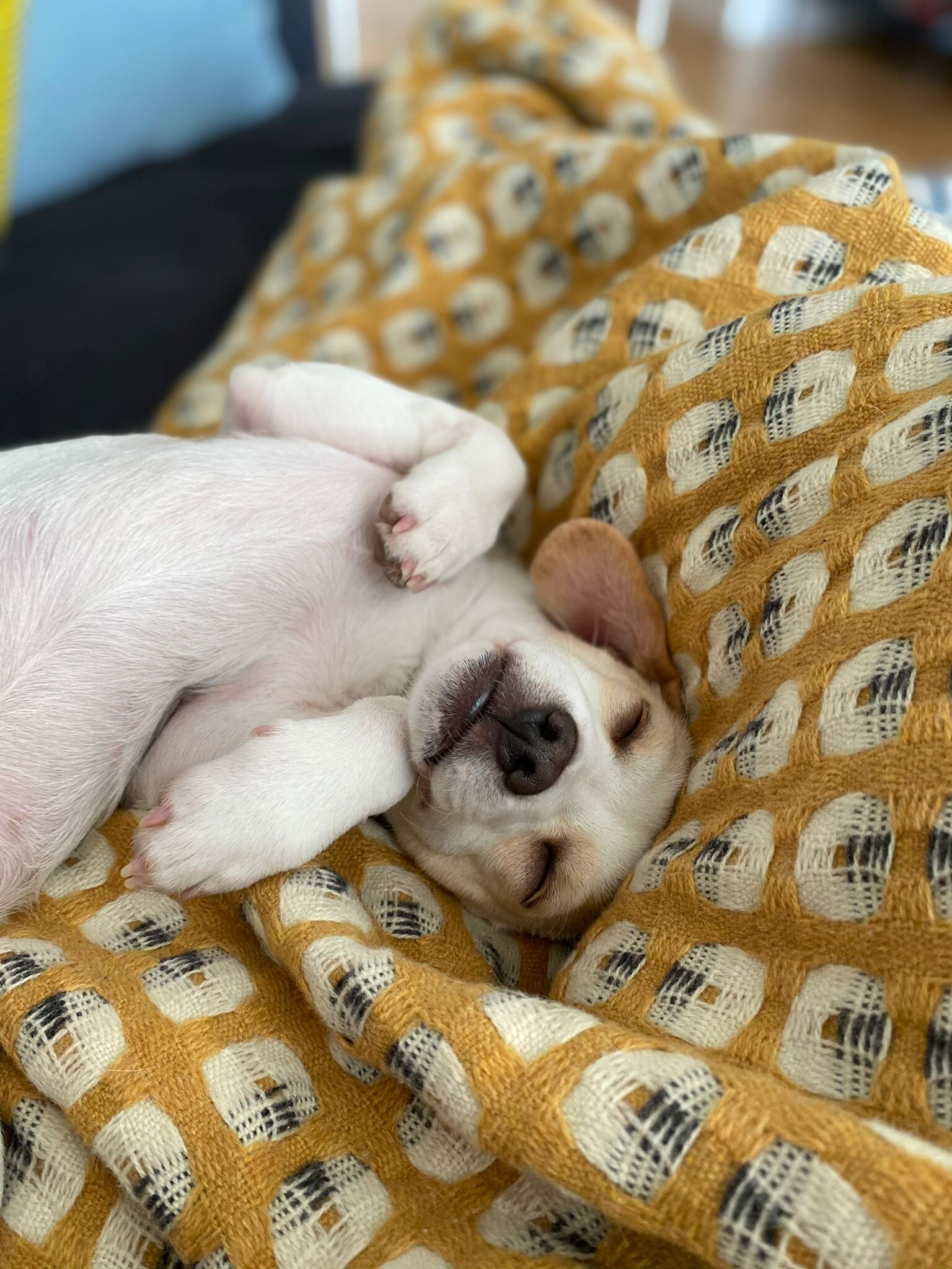 B4DE22E0-1F02-4564-B474-2FE6A1AC5014