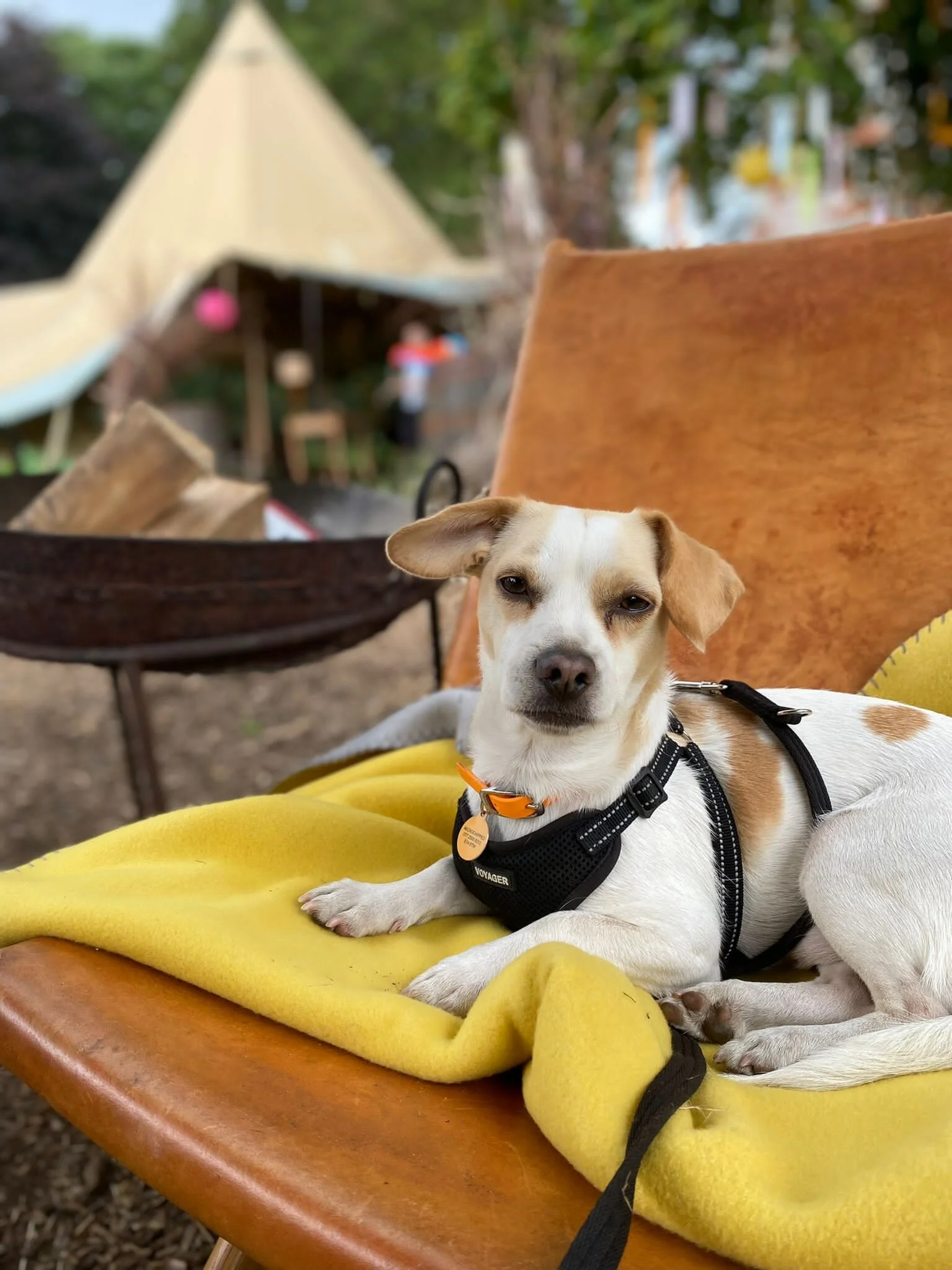 7D98E620-F1D7-4D26-89BF-2B7CDD230054