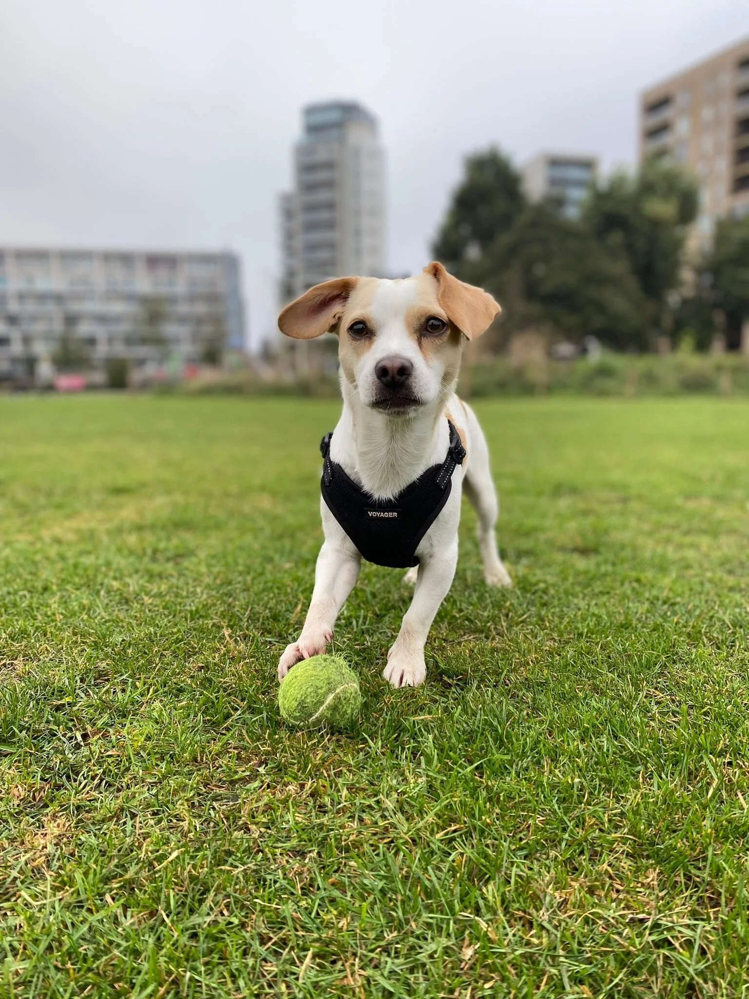 AD8B0139-BC59-4DD6-871F-15CC504471AD