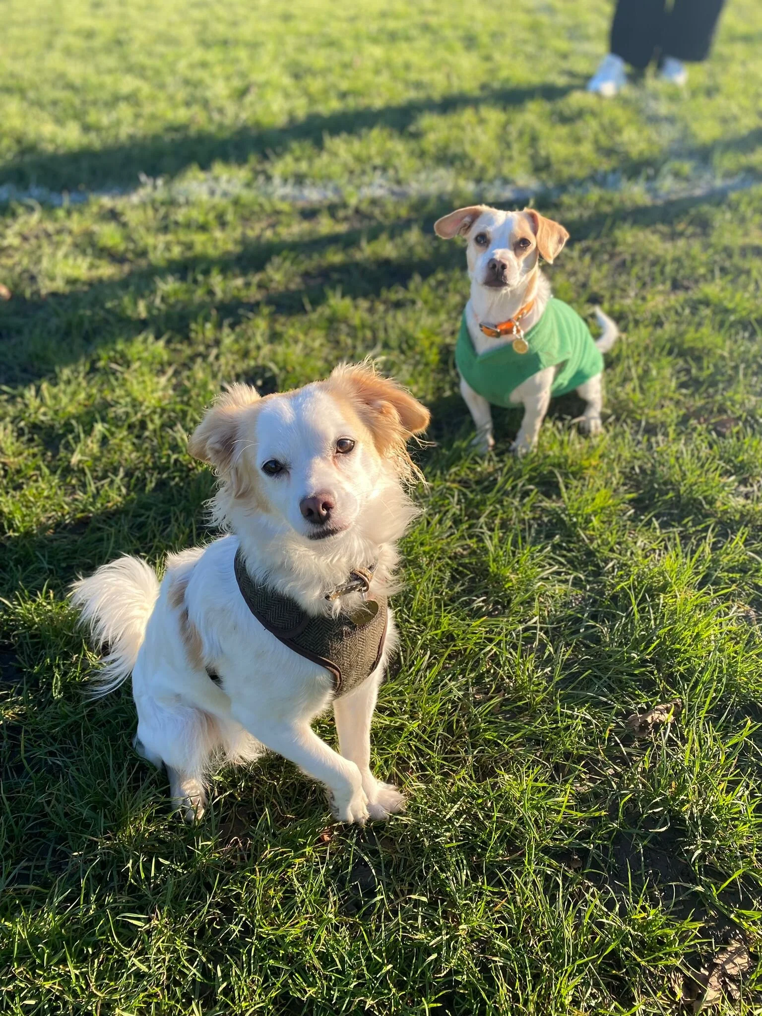 7F5025E2-DA06-45CC-8877-B46463487CDF