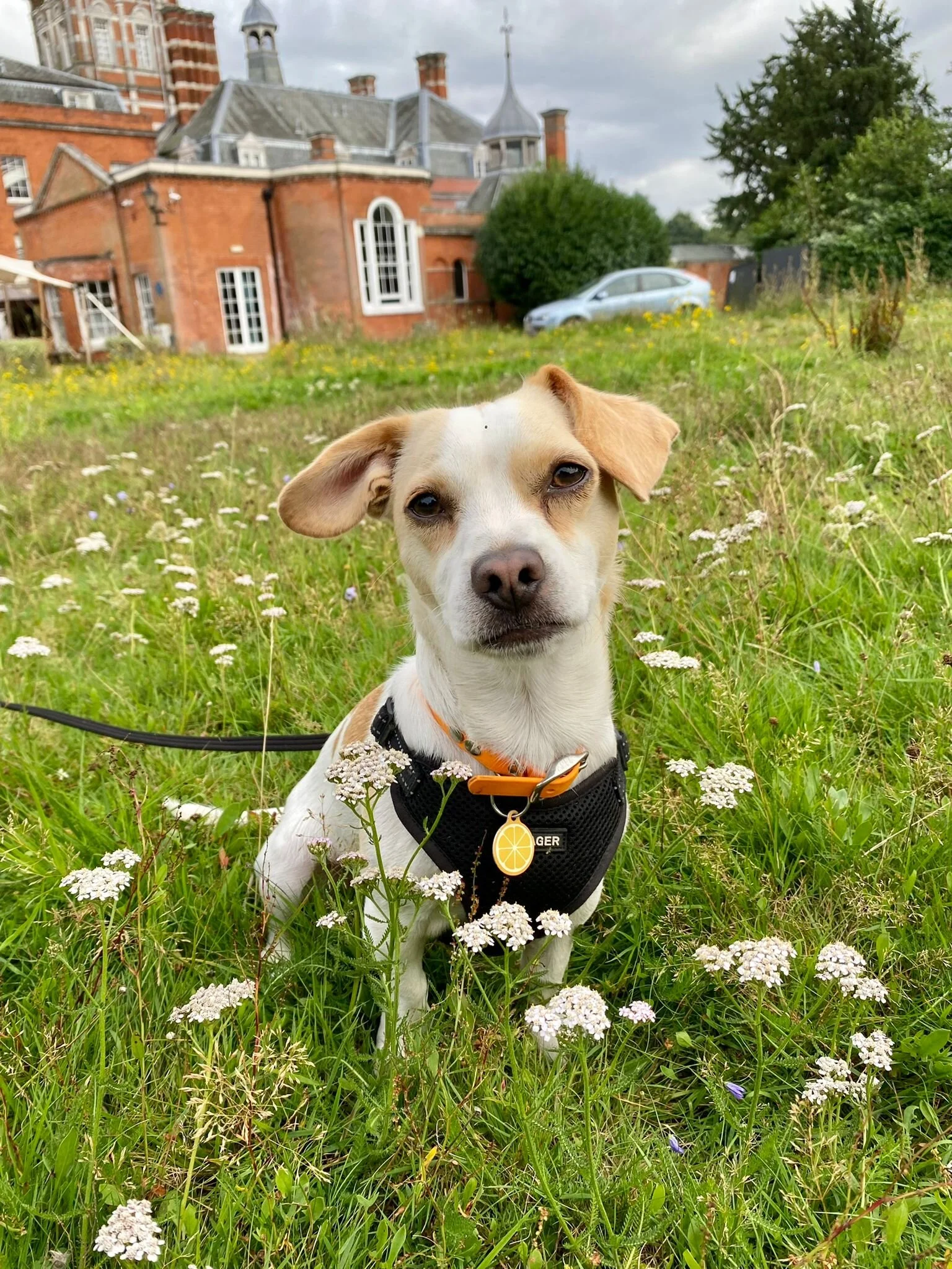 7D9702D3-C691-4A6A-8C38-0C9C28878114