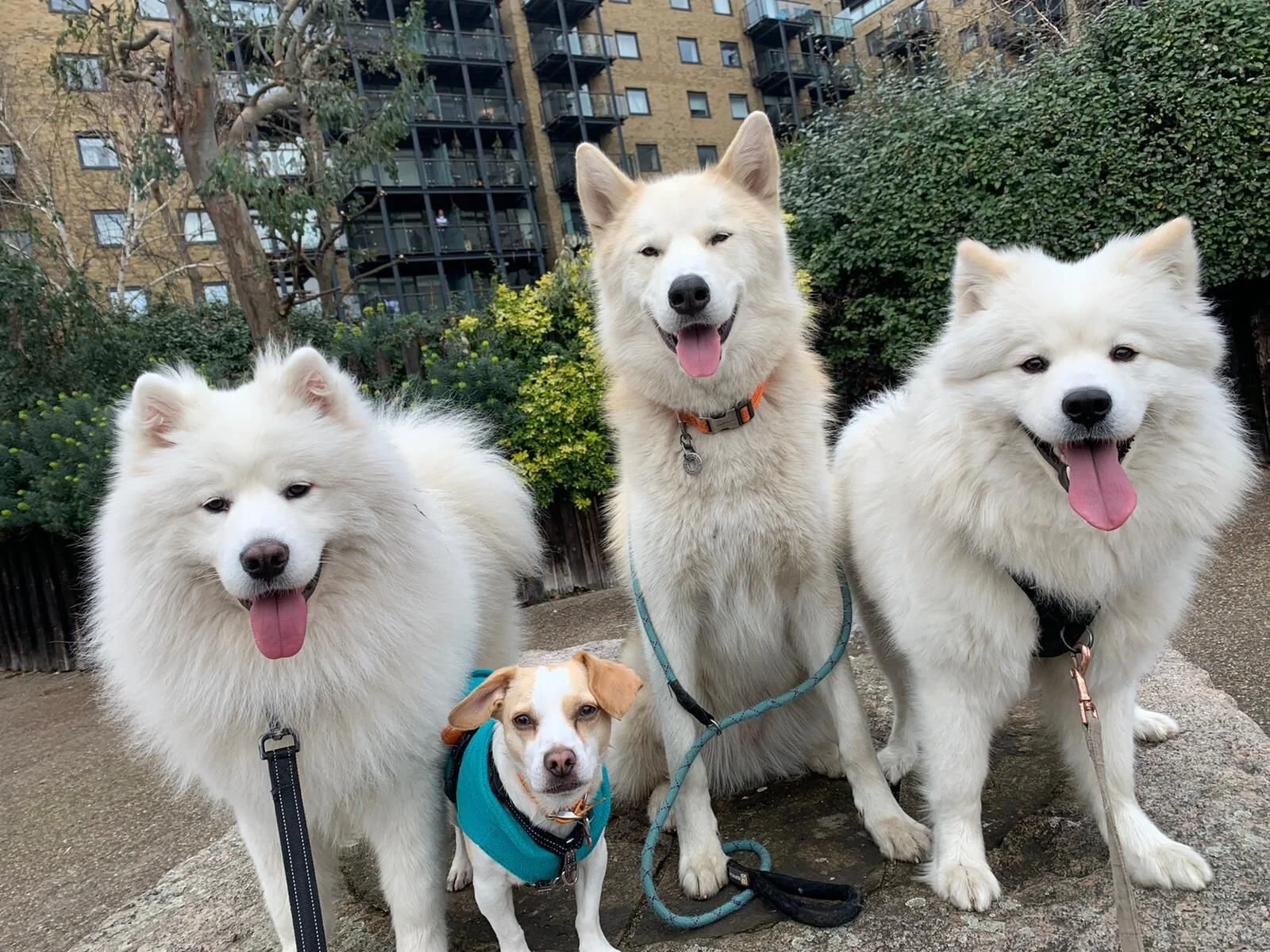 C7E7D8E5-A3A7-407B-86D4-AF7F3737A54E