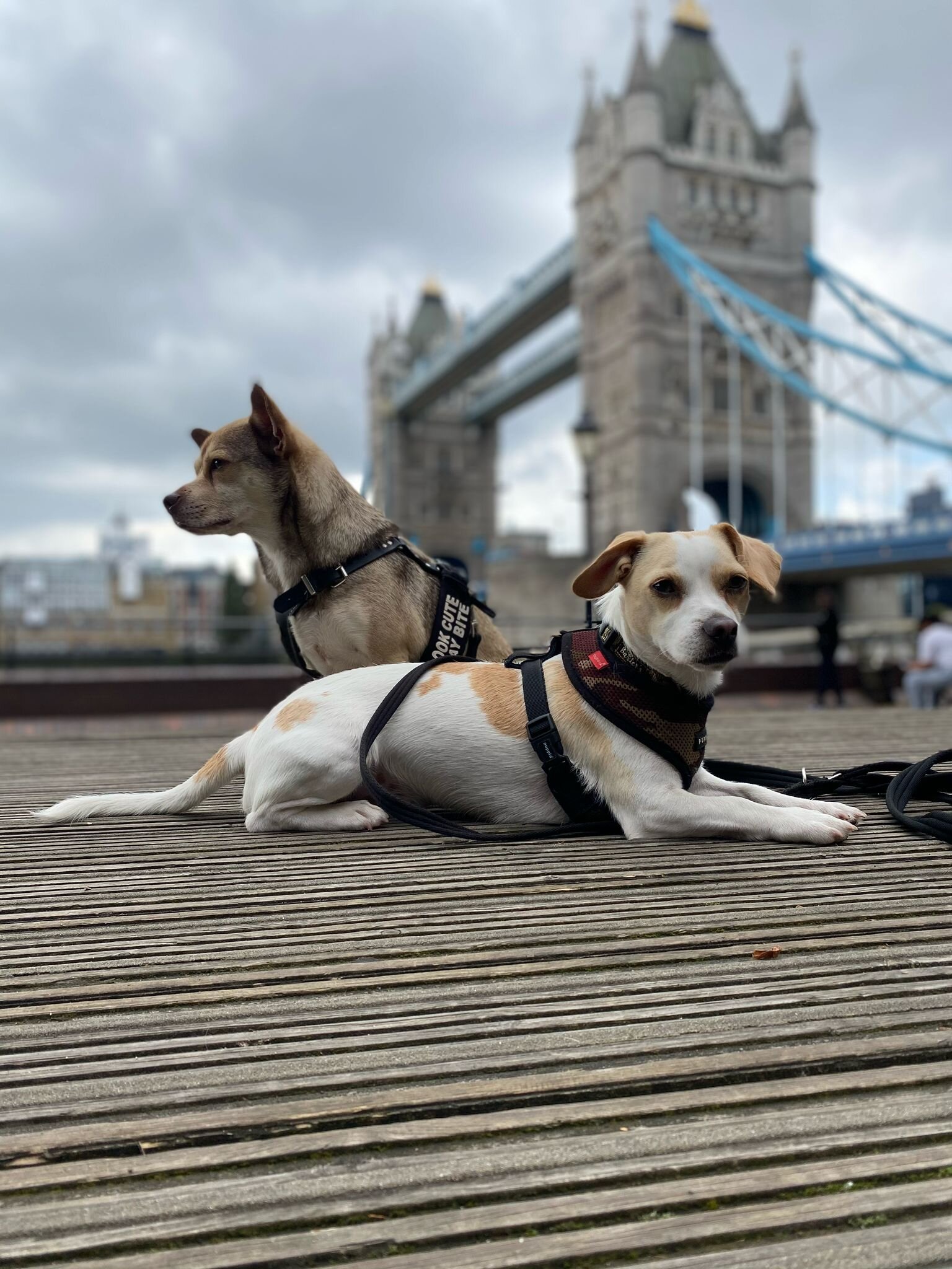 8F626B29-B9A9-4D34-B7DF-99024CCD019B