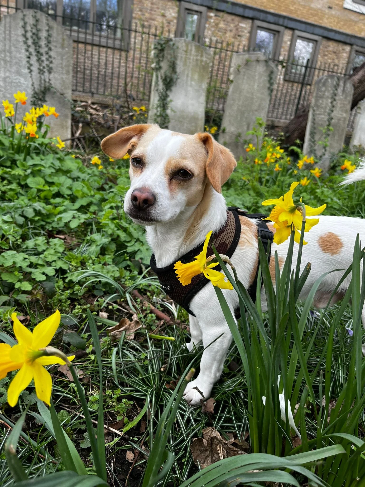 0D267C98-6025-4ECF-924C-365F53A640BD