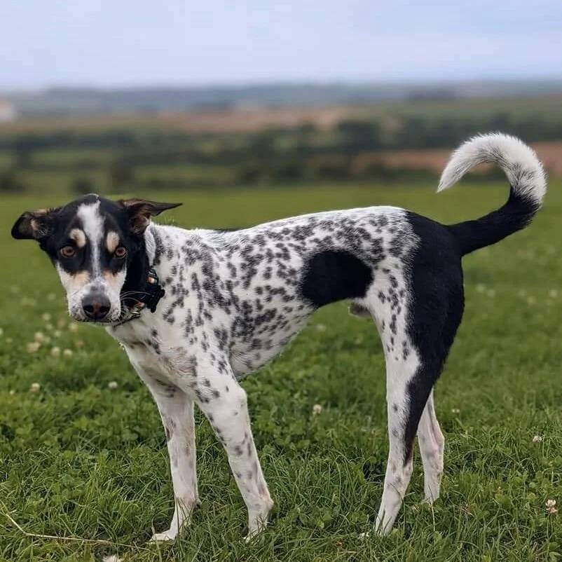 0A7429BF-BBED-4A15-A36B-BC0AB58F0474