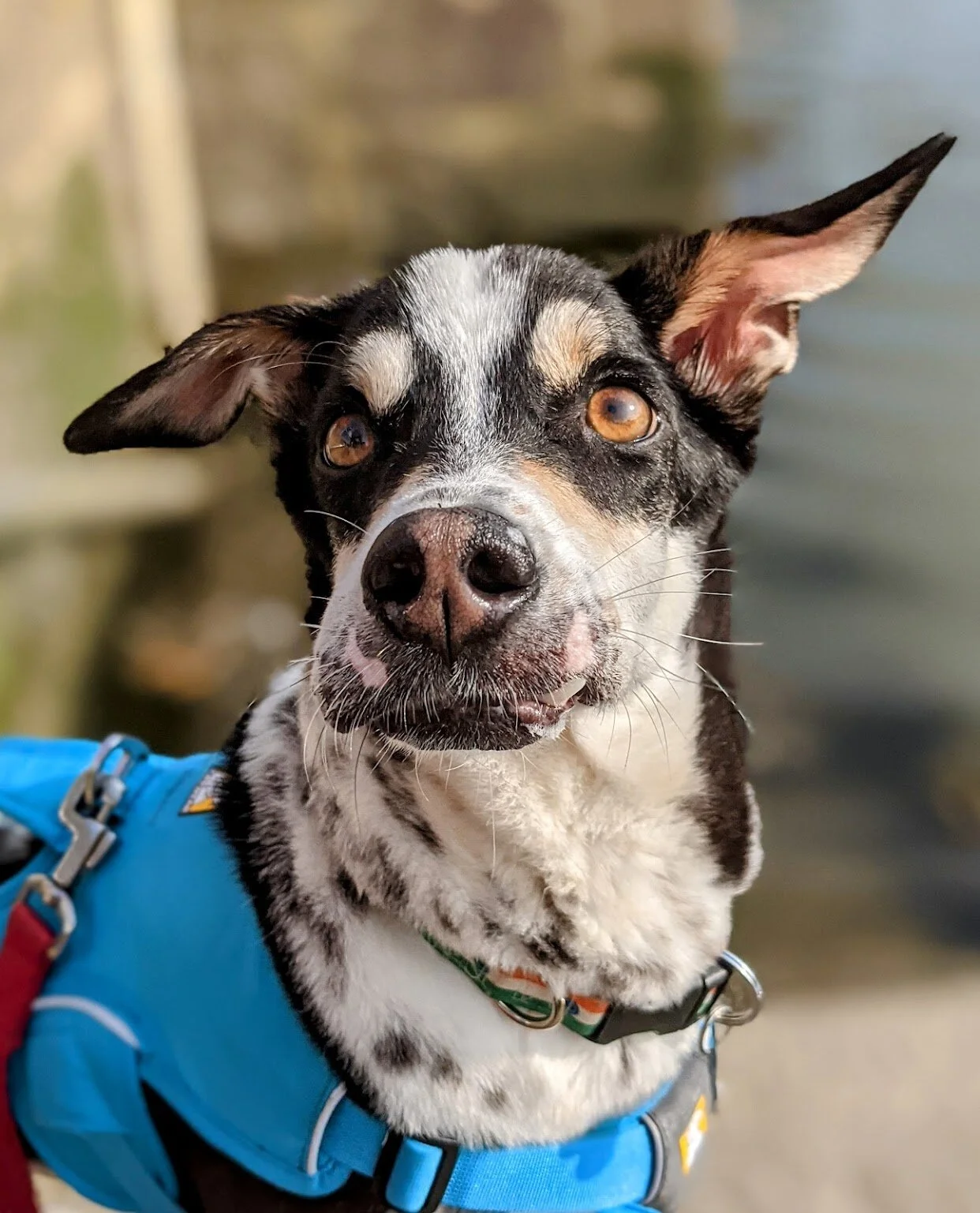 3DB8766B-FA5C-476D-B632-3129553A8DF1