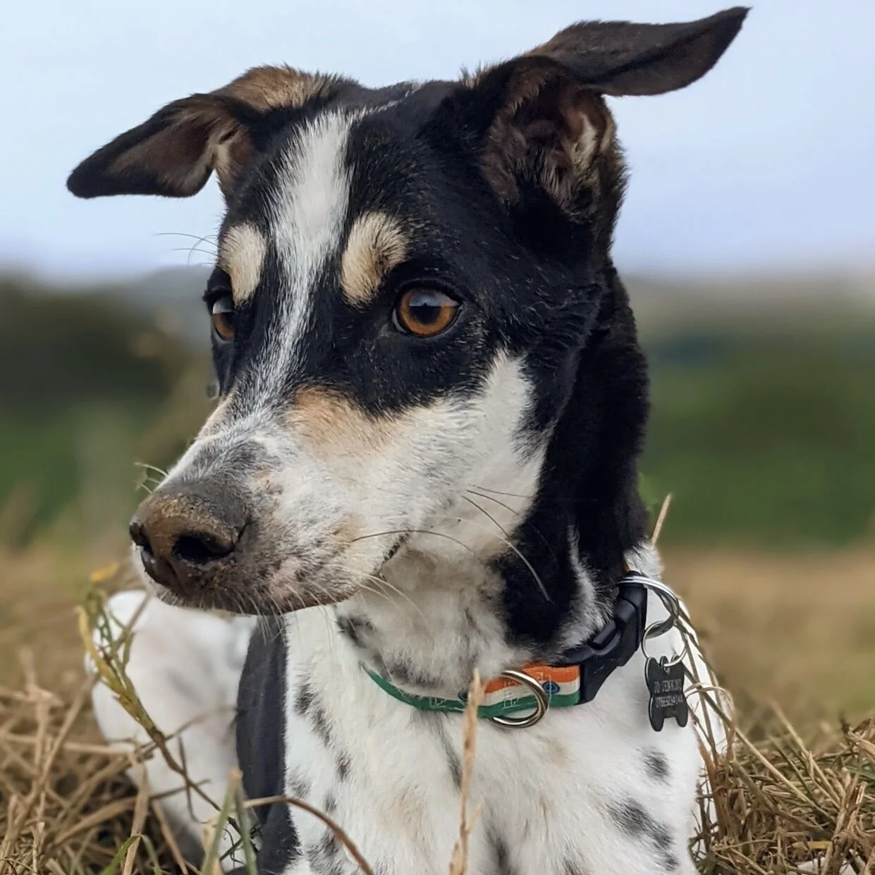 7471FD97-F788-4A62-8A9C-2CE0B9CFA1CC