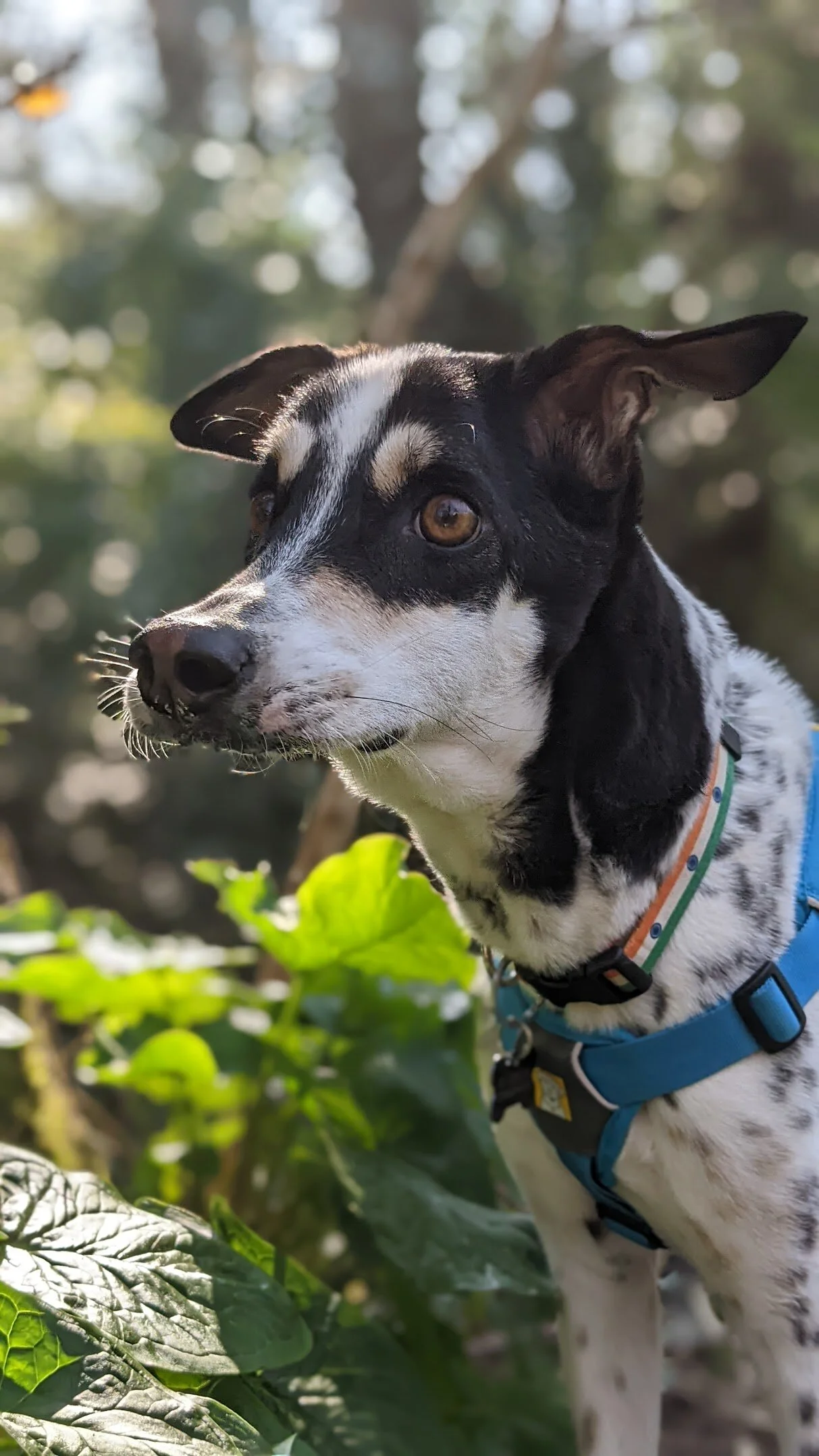 80B9703A-87FC-4CB1-B71F-62849D509C78