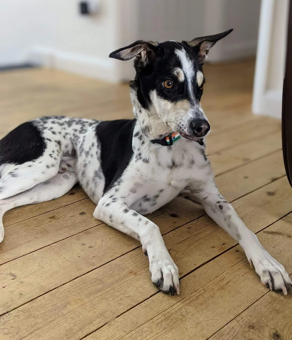 4FDEC0ED-923F-41DC-A1A4-D52544D76F46