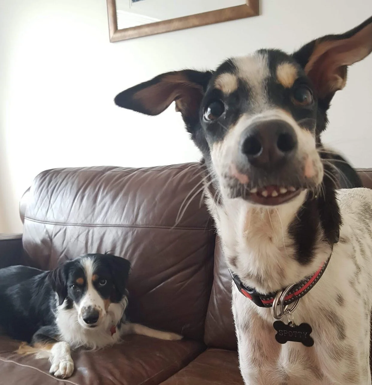 AB8C2E91-0955-4806-A8C0-8ABDC8A89D1D