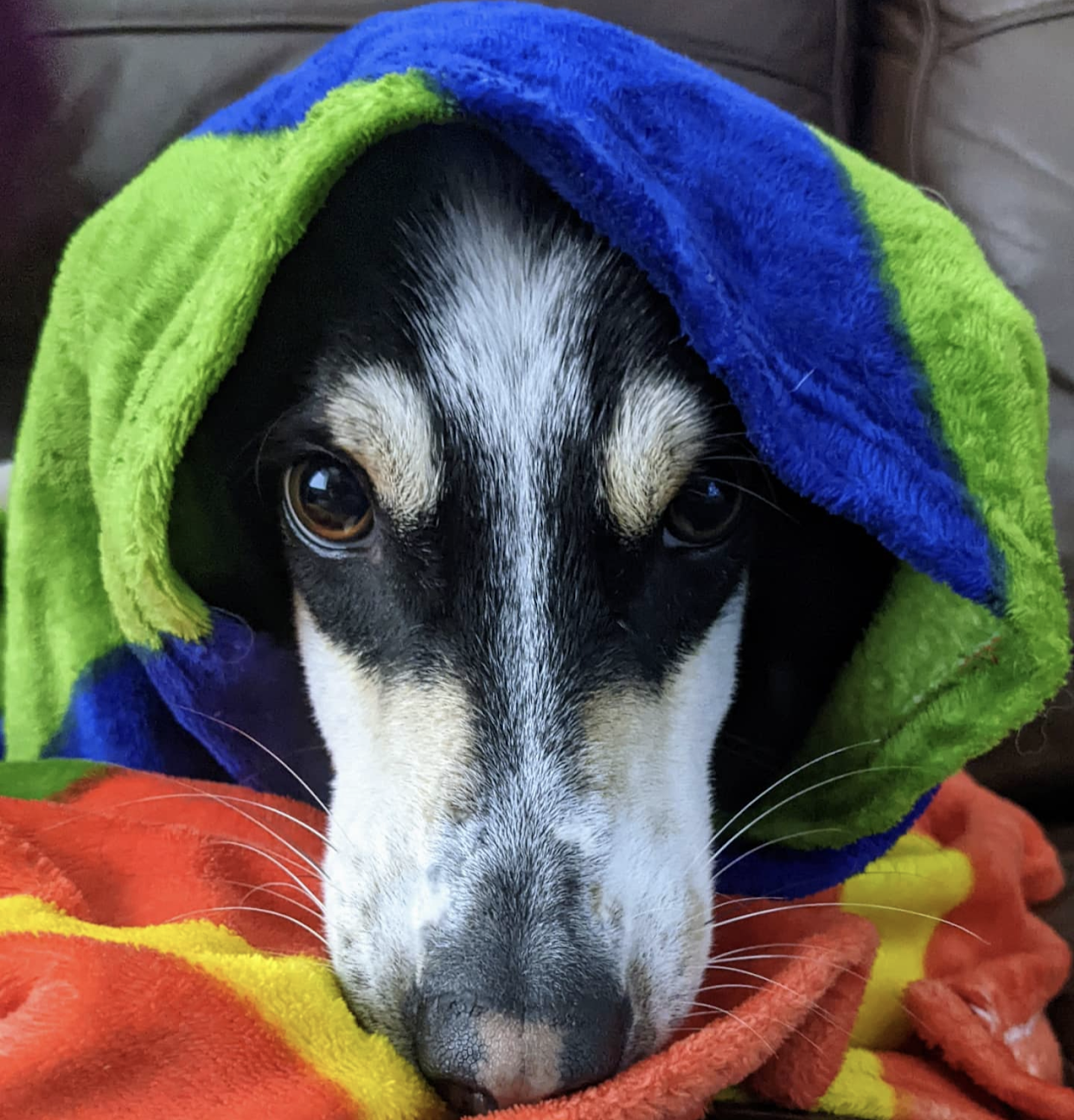 650B3B3C-7959-49D0-82E3-59D9BC16F602