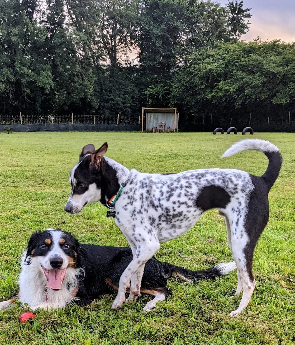 BC33BA3A-F028-4E95-983E-5196A440E03D