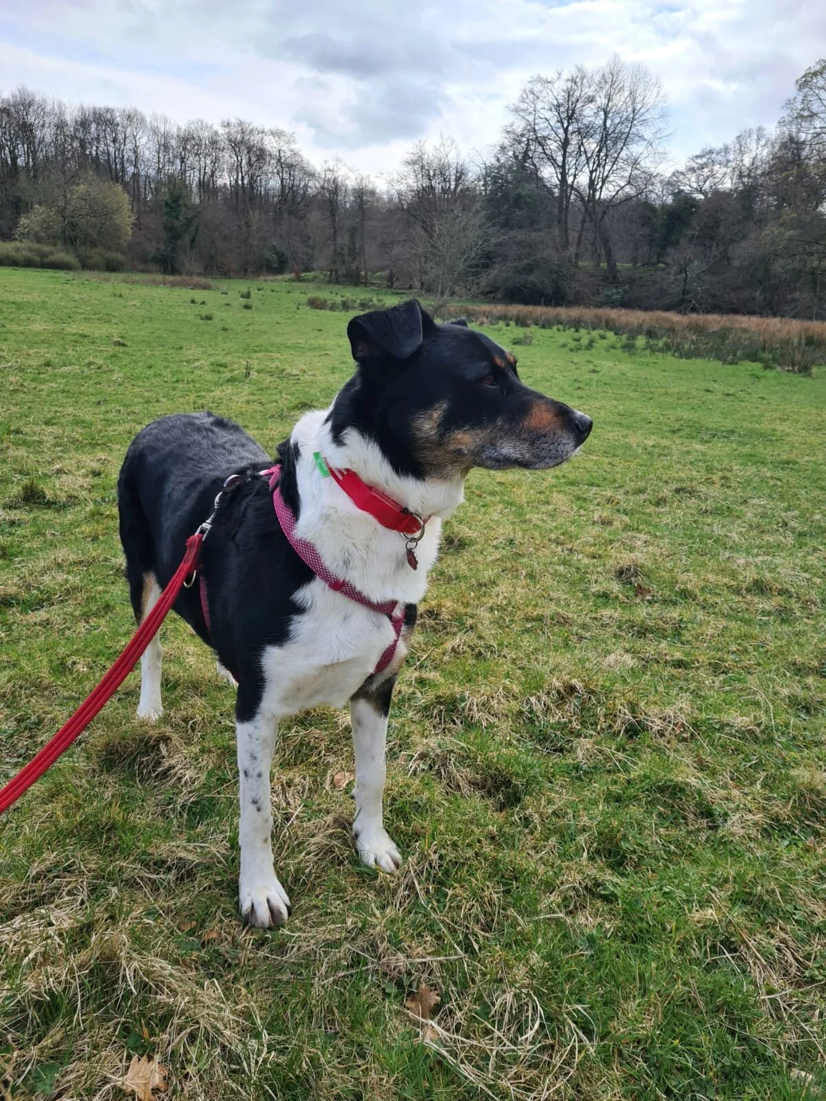 A8BB5C9F-4432-4251-AA1B-F739ED45D40A