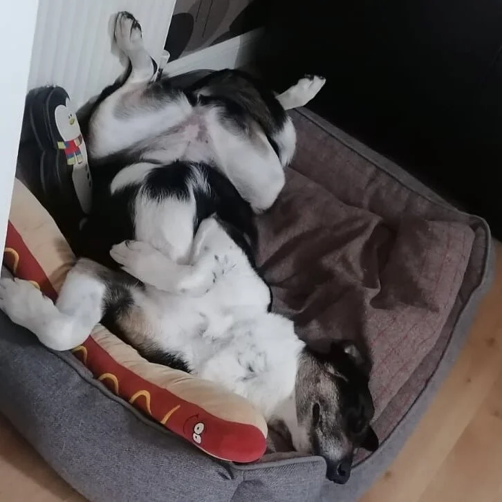 F8991611-380F-489E-8371-5F30C24262D4