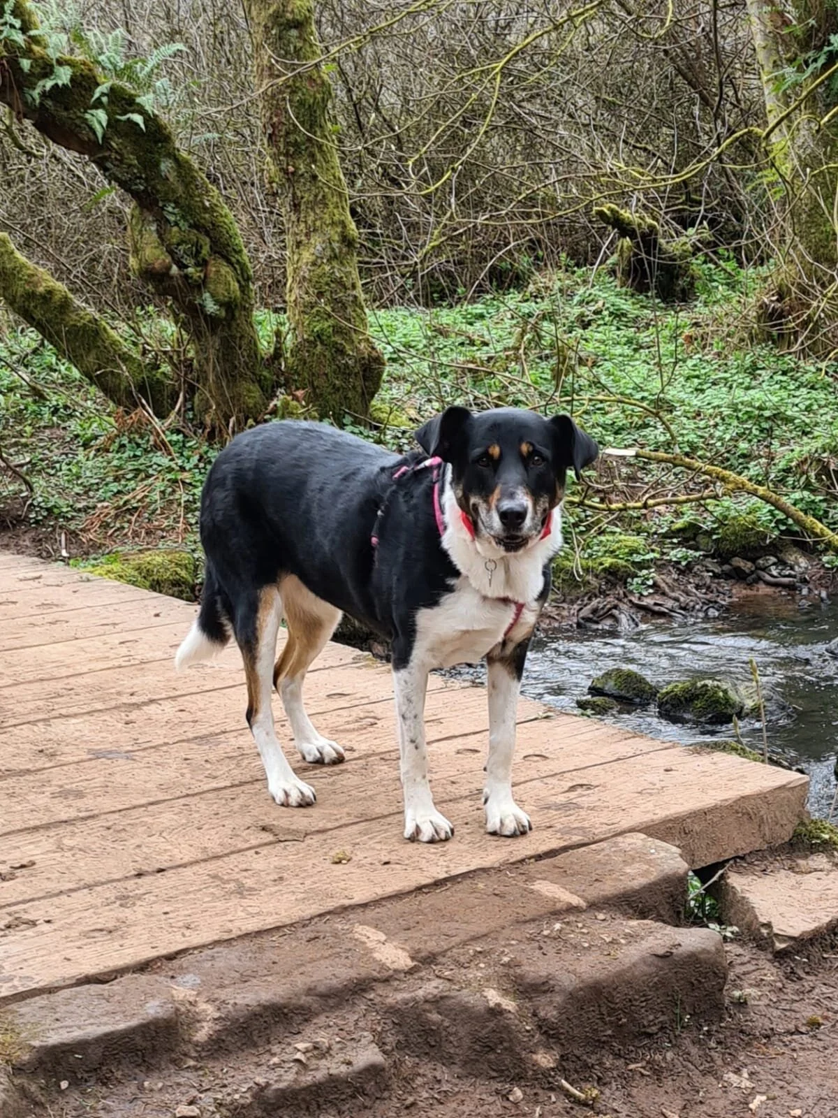 C28528D3-B86C-48D3-B20C-F104630E24D8