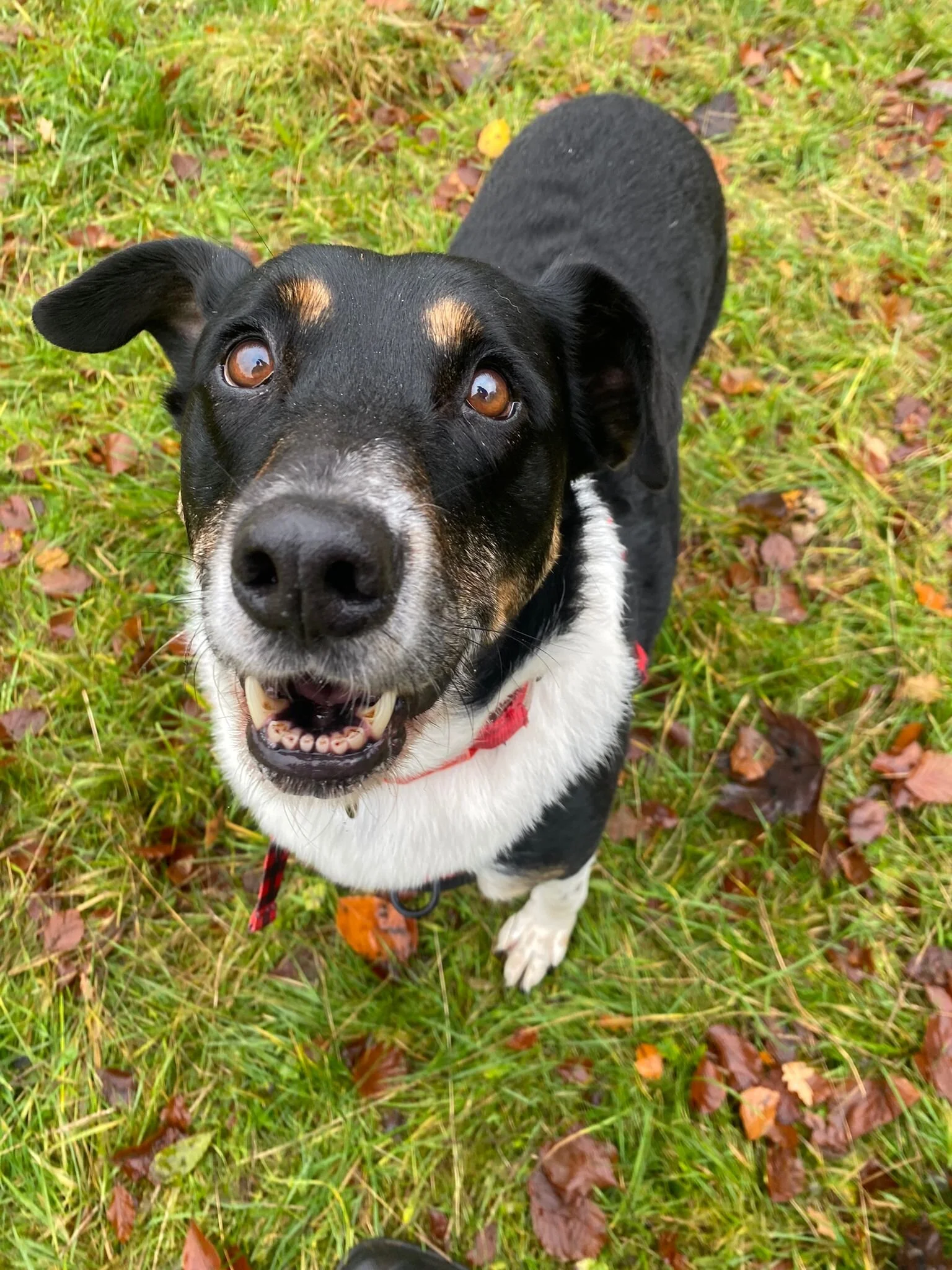 F677459E-1885-42E3-BB3C-79BA2601E470