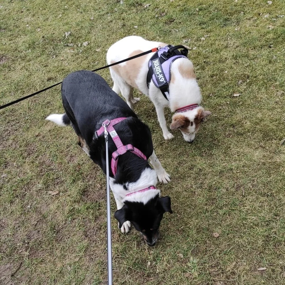 C8AC8A27-296E-45E7-A825-2D50C04A24FC