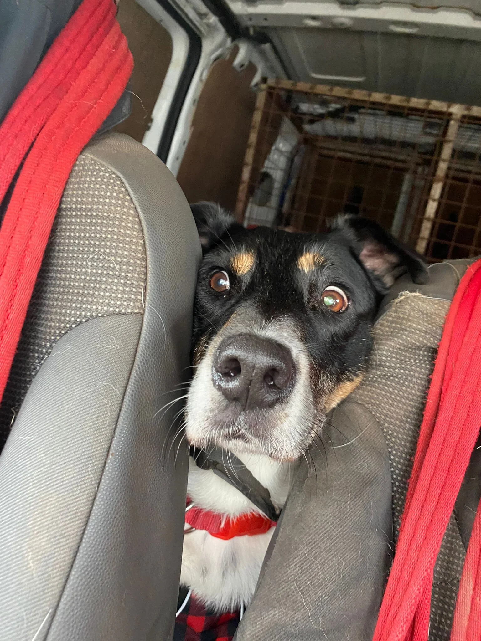 62B1B83F-1F20-43DD-99AB-9982D92F1F63