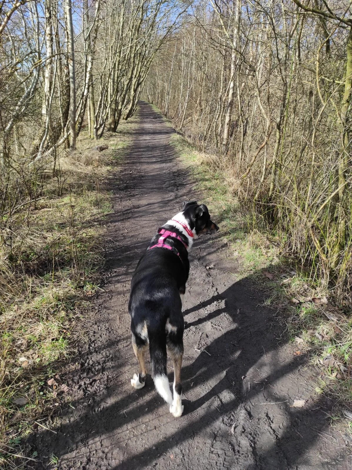 9EEA6A69-0F88-4C40-B098-FFB7B21FEB34