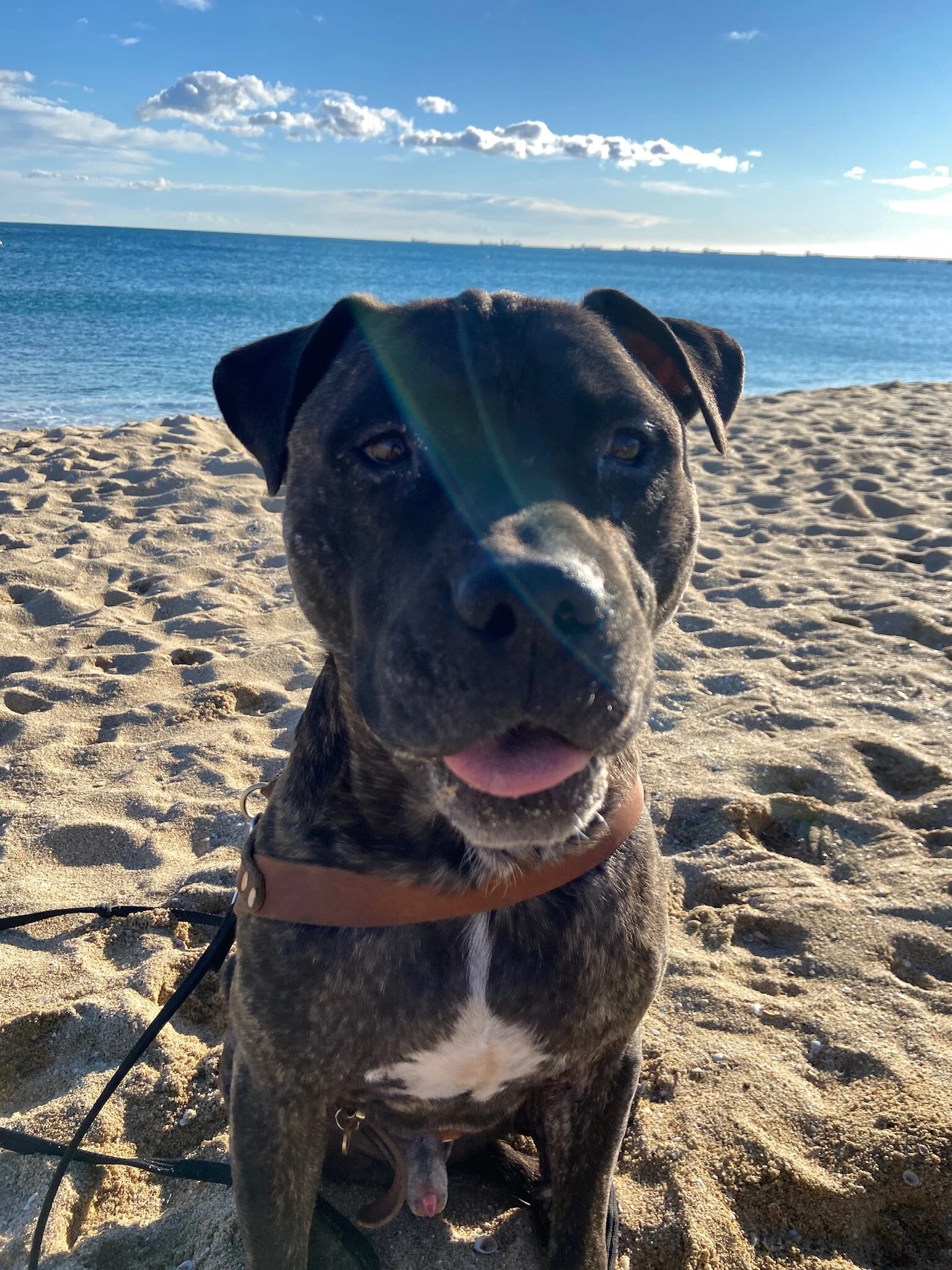 09E6A226-BC9F-49C8-96F6-D13B86360EB3