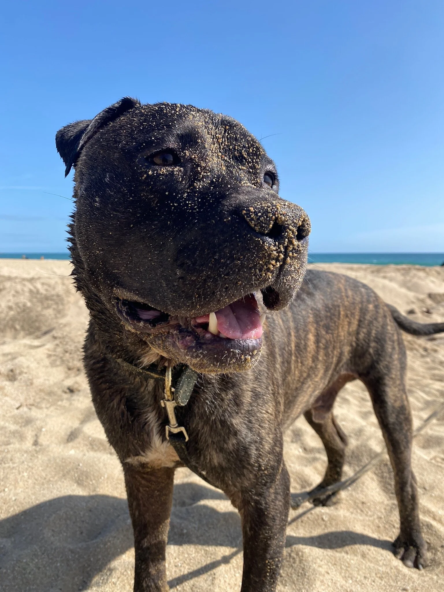 2B0B1E72-C60A-424C-88DE-187C377BAEF0