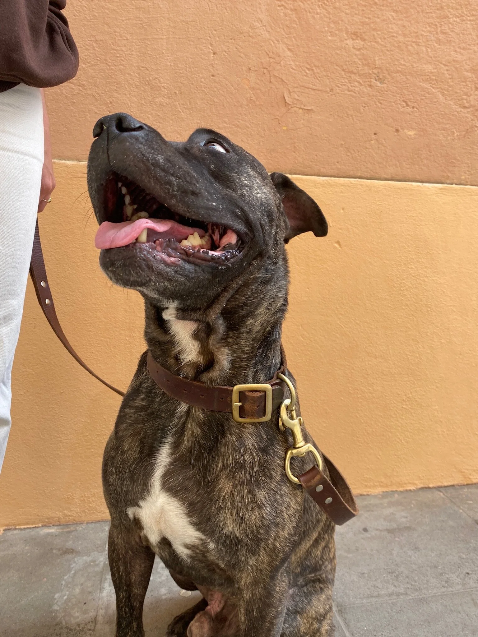 8FE02D2F-8C16-40DD-9C7A-E30A17216C97