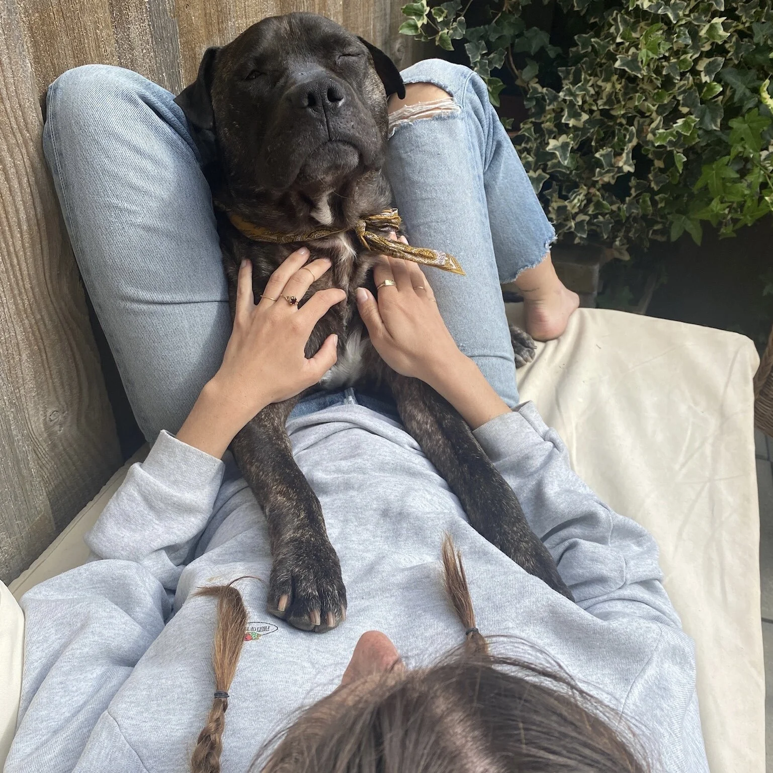 5B798C53-BE7B-4ADA-BD01-B3684786B274