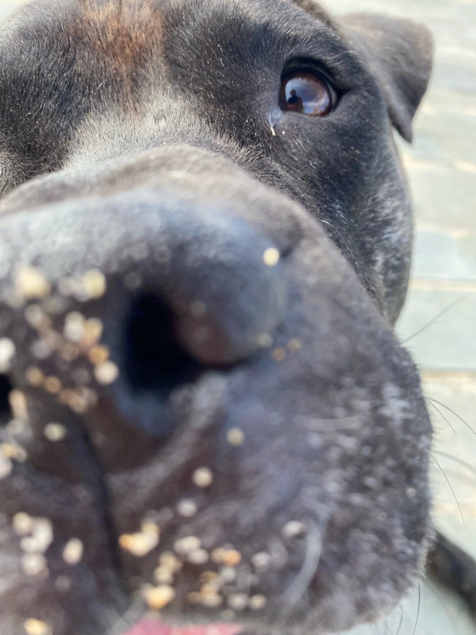 D5FEFE5A-034B-4ABB-BA8D-6CF8C9490068