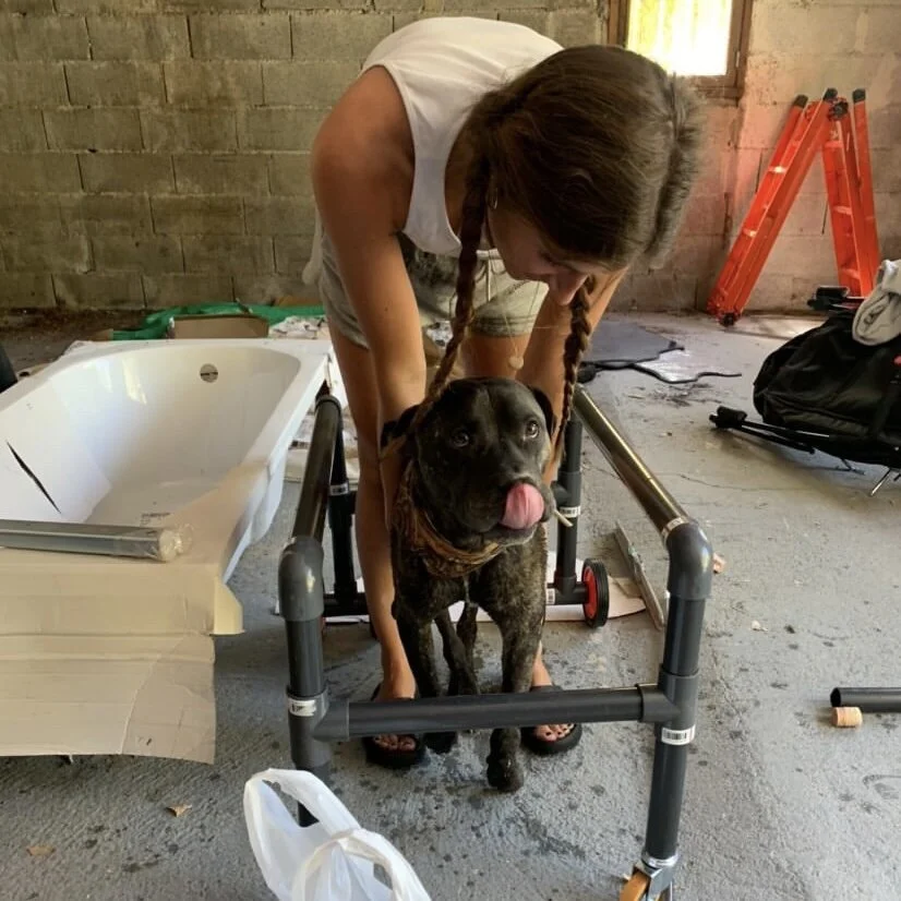 6138C124-128D-4601-B063-F256E9A38CAA