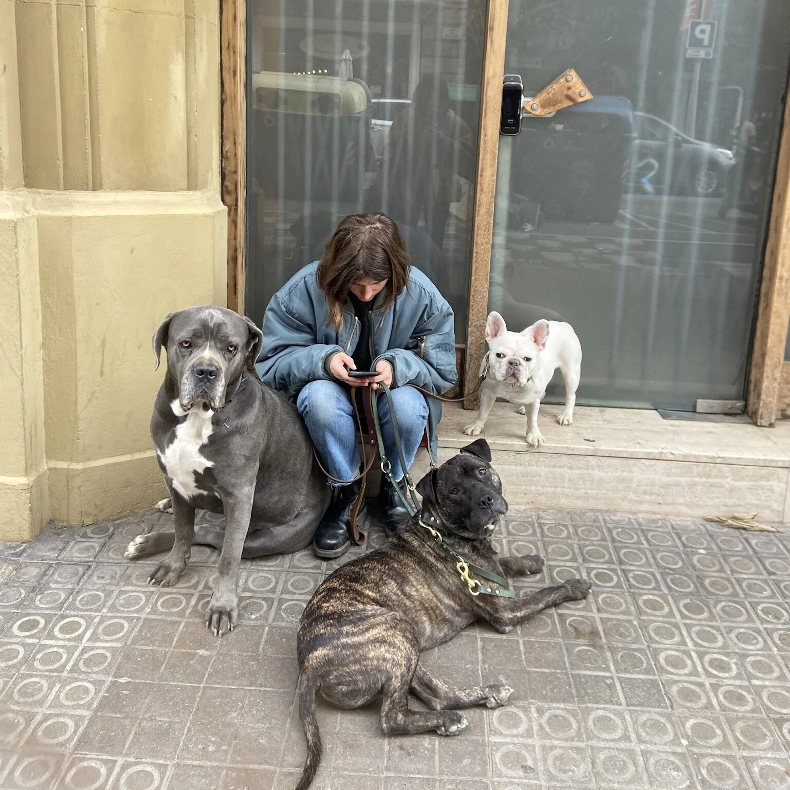 C3735AEE-E2E1-4E4E-AAB5-368E45646BF3