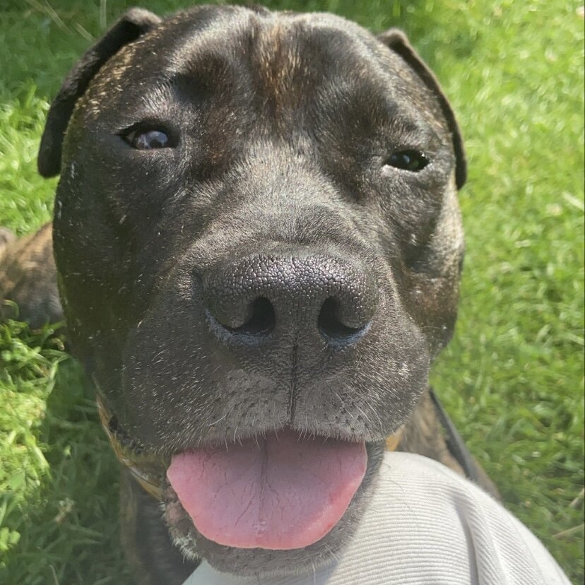 3D1D3D07-B6B9-4BB9-AC11-B6D4A2BF6E7A