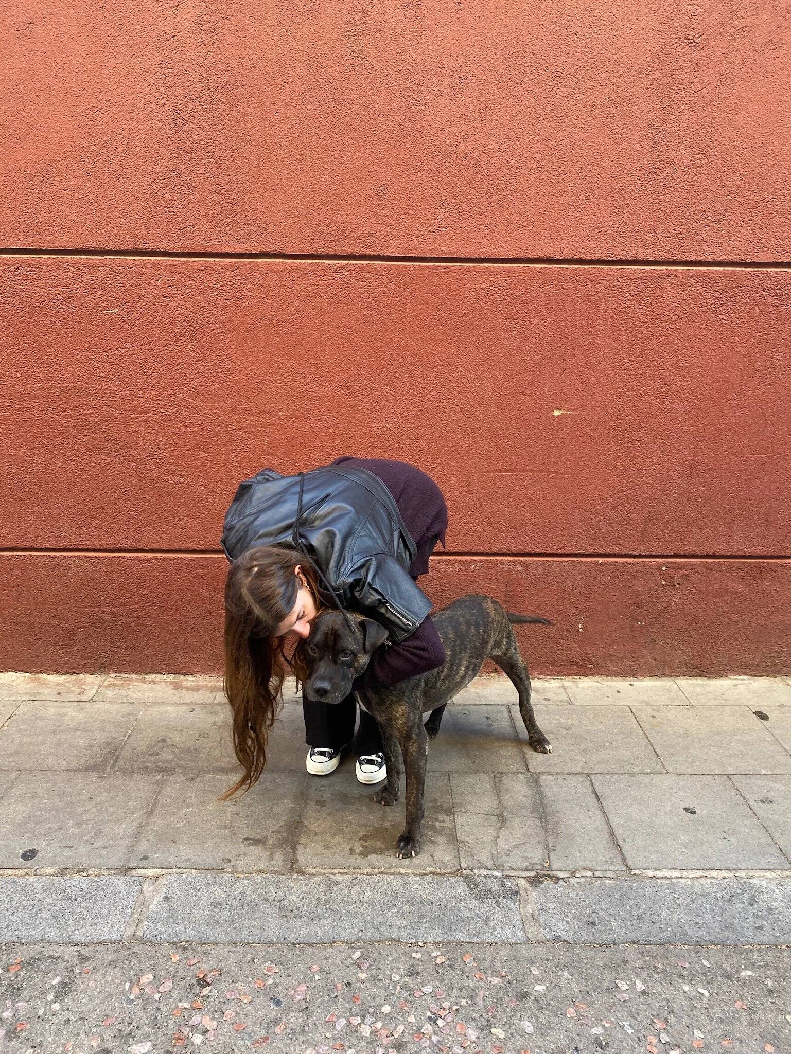 E874D2EF-52AC-463F-80DB-3A7D1728465A