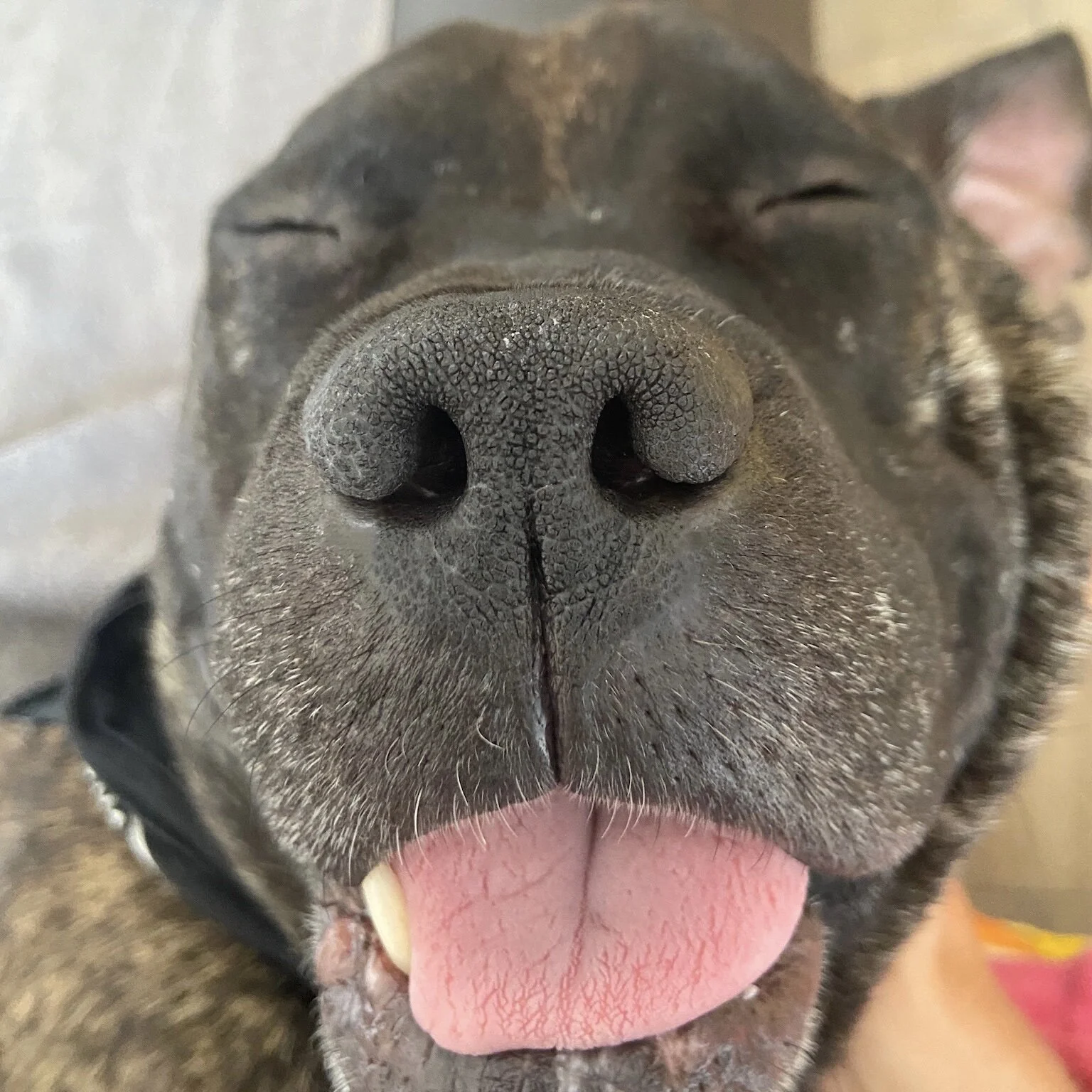 5EB6D8FB-88C0-449D-8592-A944535423A4