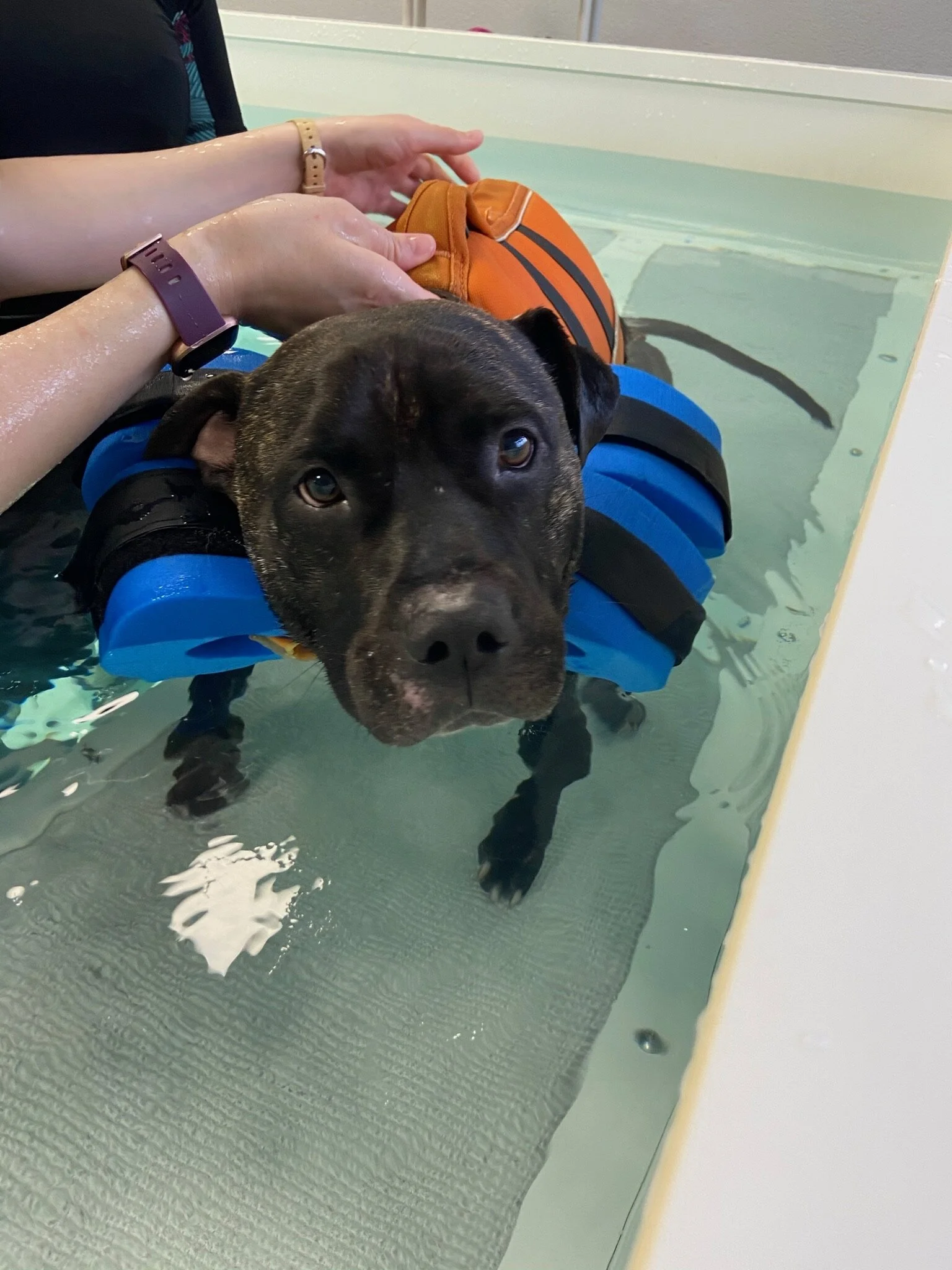 35D780E7-53F6-4A97-85A4-A7E9F1B52F5E