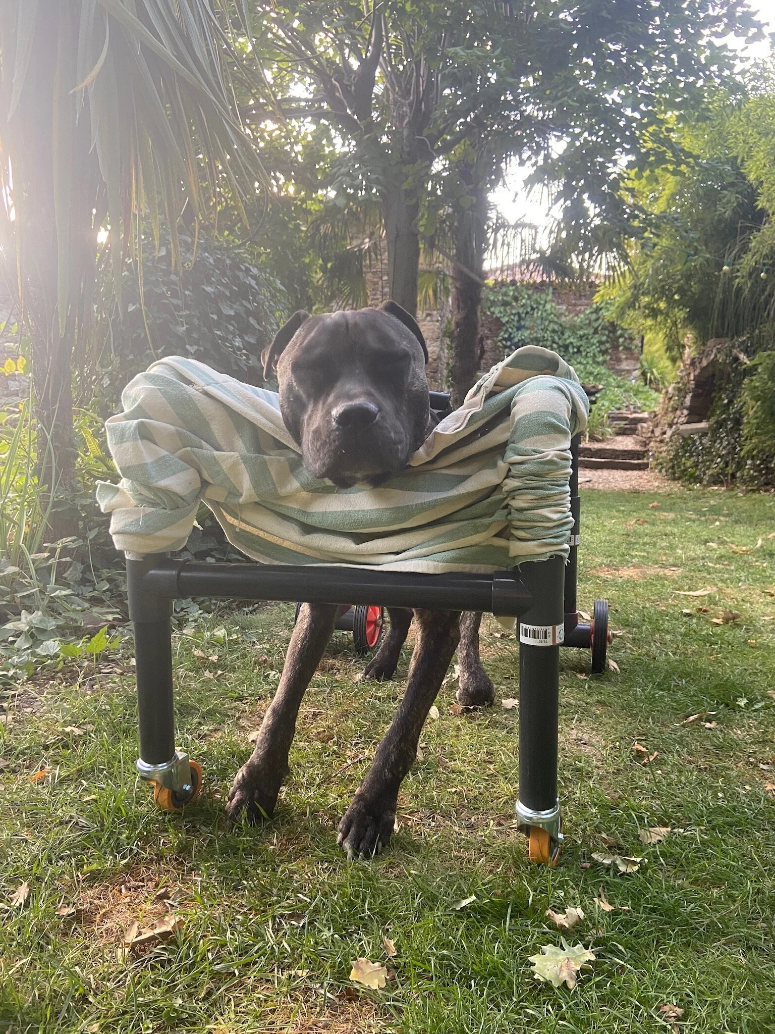 2804A5E8-377A-4387-86F6-E088993FD667