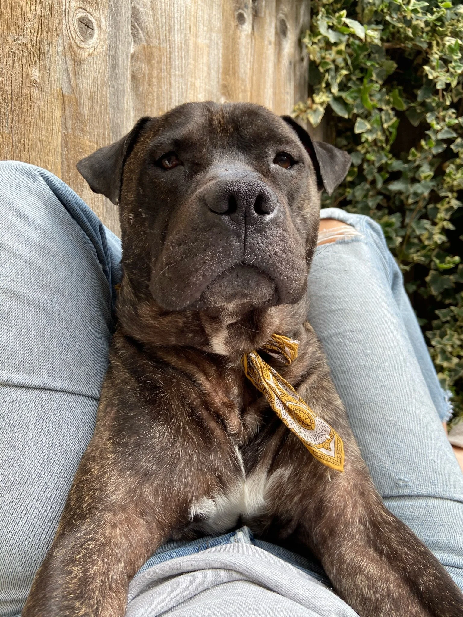 EC84D1AF-2453-46B6-8ECA-C0CE4E3EA7C0