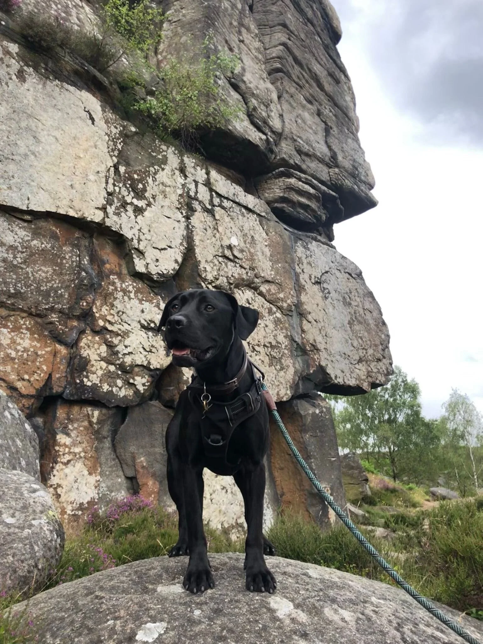 F36F0FD5-5A17-478C-AC23-9B76D78793F7