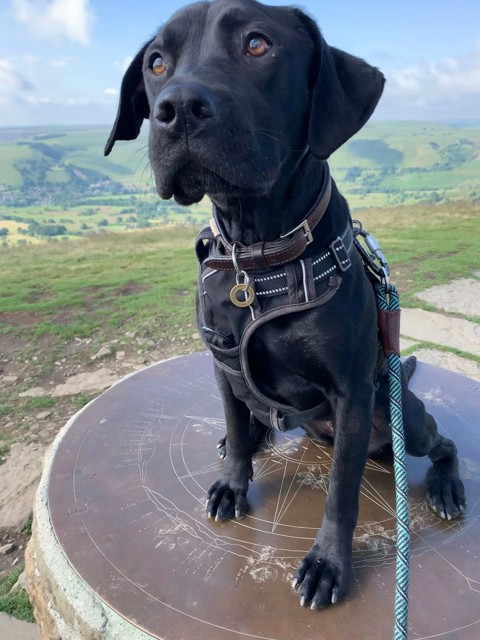 12F10AA8-0200-40B1-BC38-668A559504EF