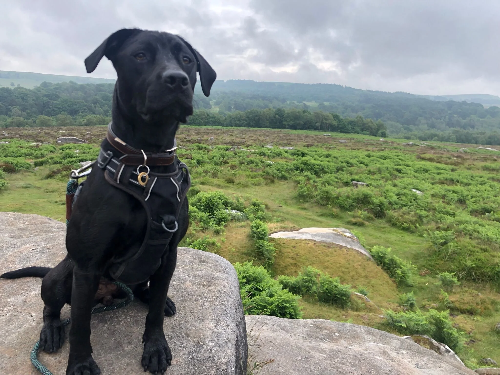 DE9696BB-A8FE-455D-8A3D-5E7C7B8675D8