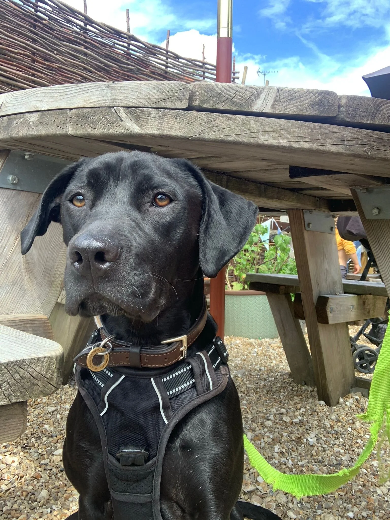 6D4BE200-B457-43C6-BDF7-65D032616135