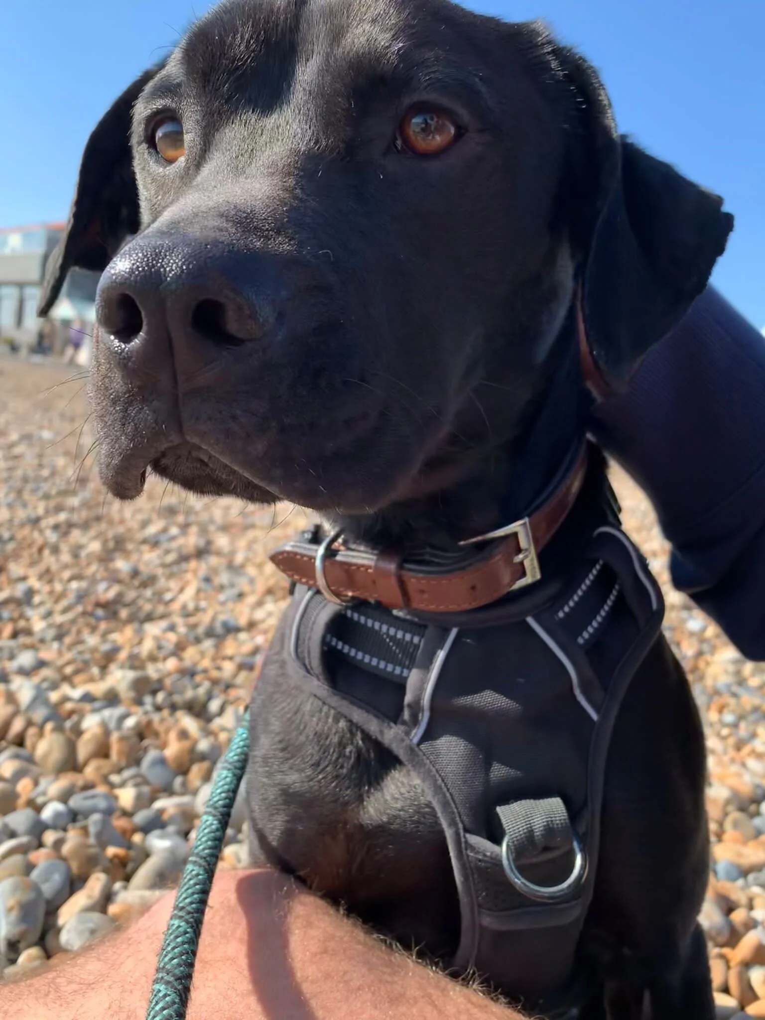 691BA9A4-C32C-40A1-96C5-C6DAE48895A4